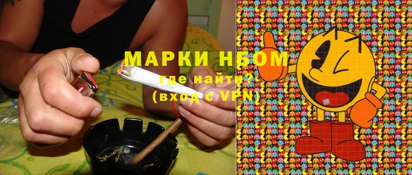 стафф Ельня