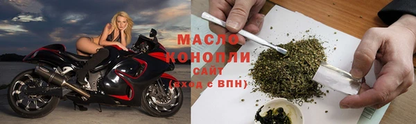 стафф Ельня