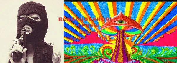 стафф Ельня