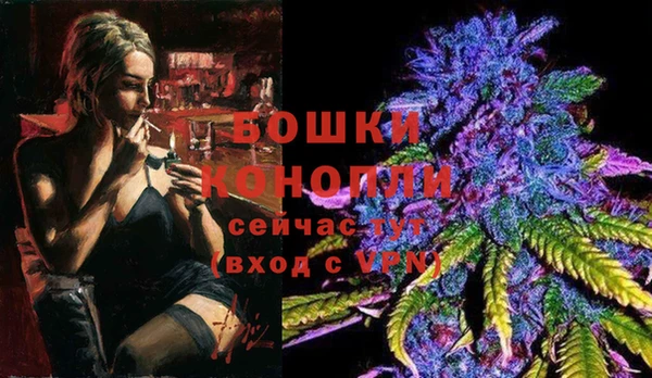 ALPHA-PVP Елизово