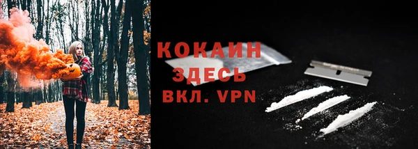 стафф Ельня