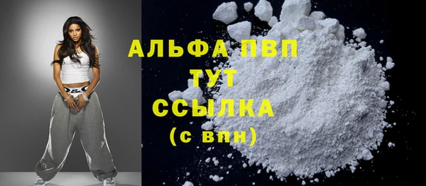 стафф Ельня