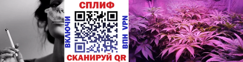 Конопля Bruce Banner  площадка клад  Сретенск 